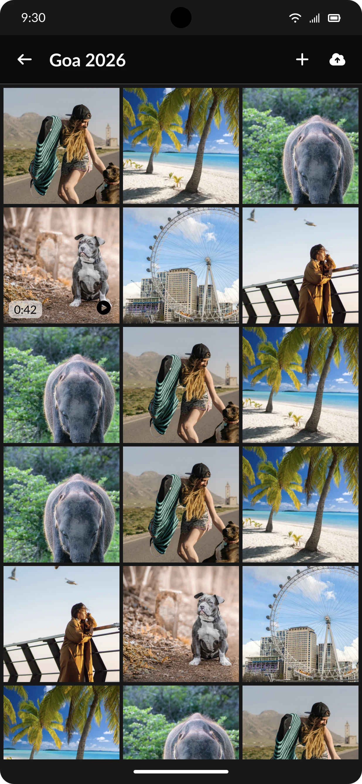Album opened as a three-column photo grid.